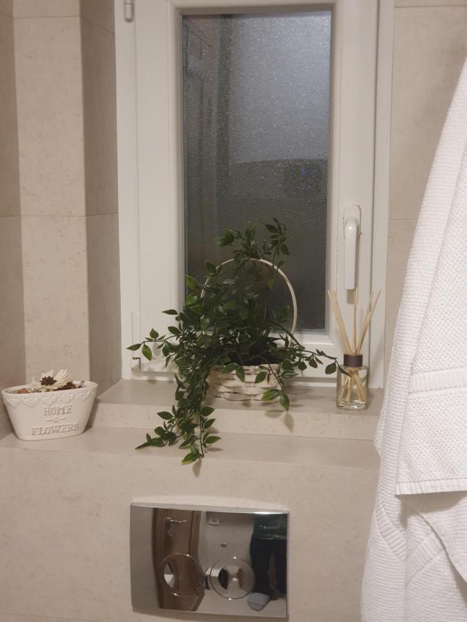 Apartment My Home Belgrad Dış mekan fotoğraf